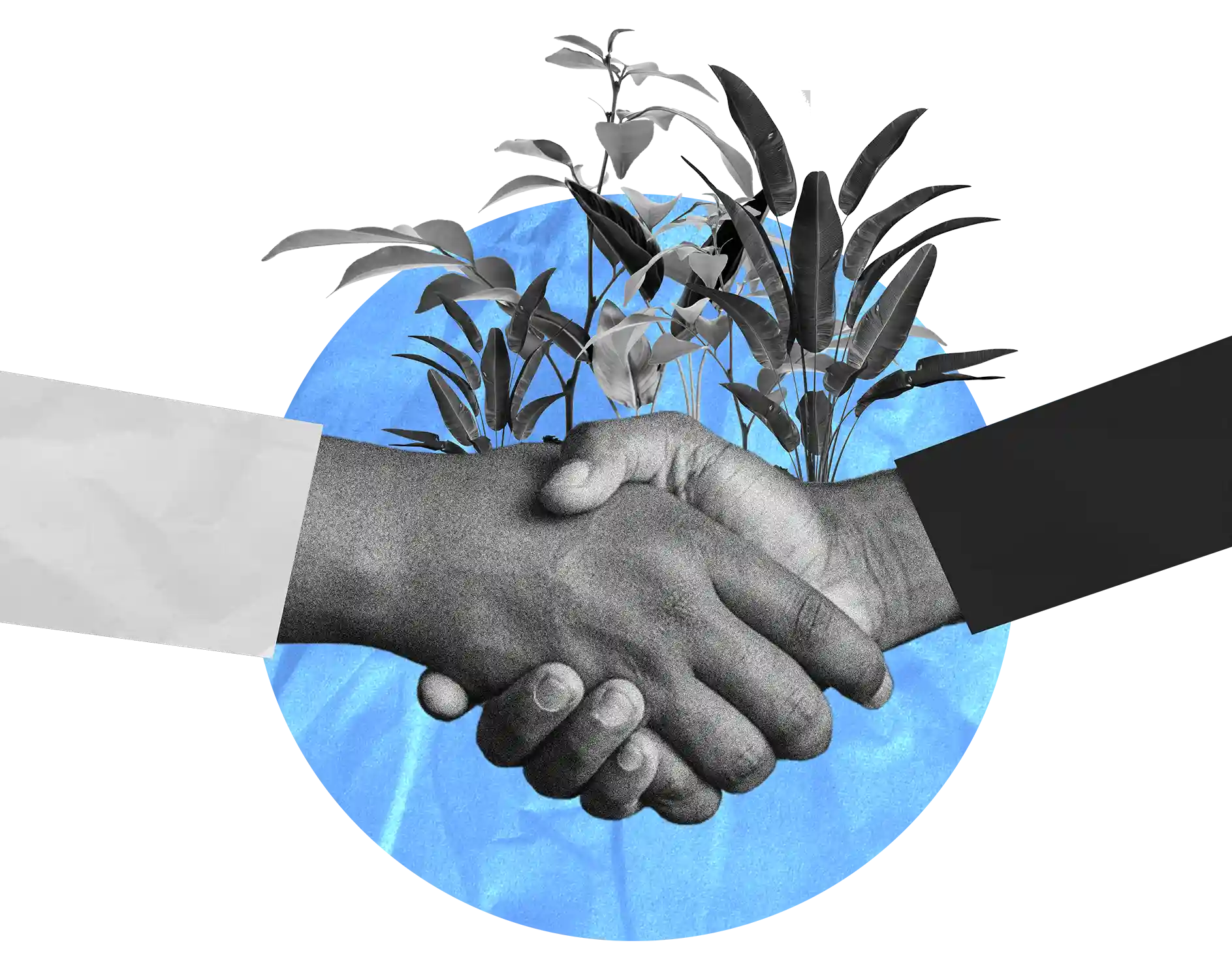 Integrity & Transparency